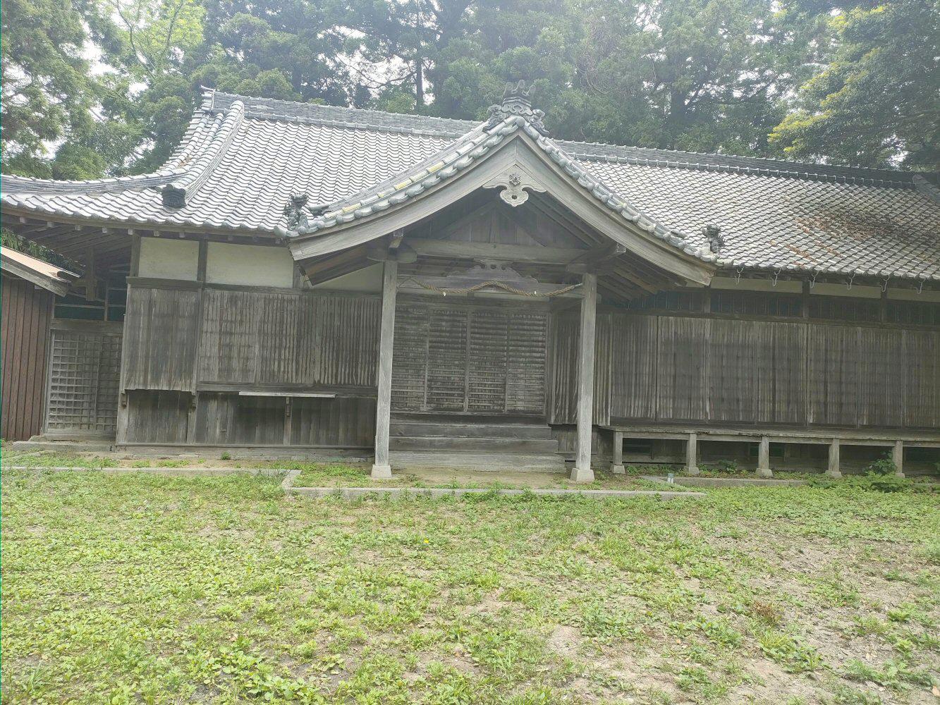 98986156